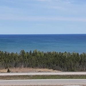 Meet your Posher, Cheyenne